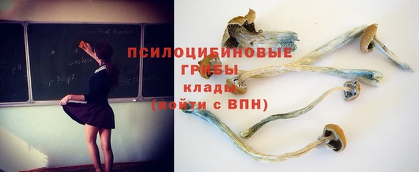 прущие крисы Арсеньев
