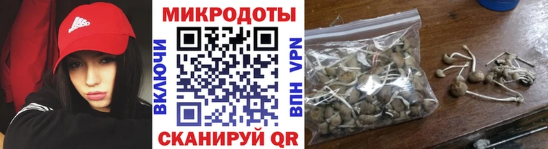 купить наркотики цена  Тейково  Галлюциногенные грибы мухоморы 